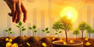 Decisiones Actuales, Beneficios Futuros: Tu Patrimonio Hoy